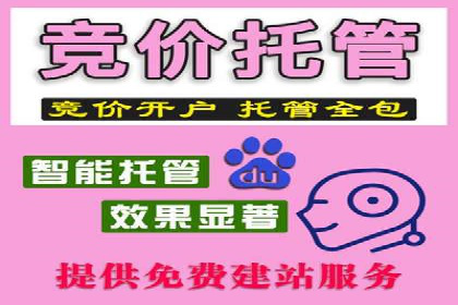 SEM推广竞价策略案例分析